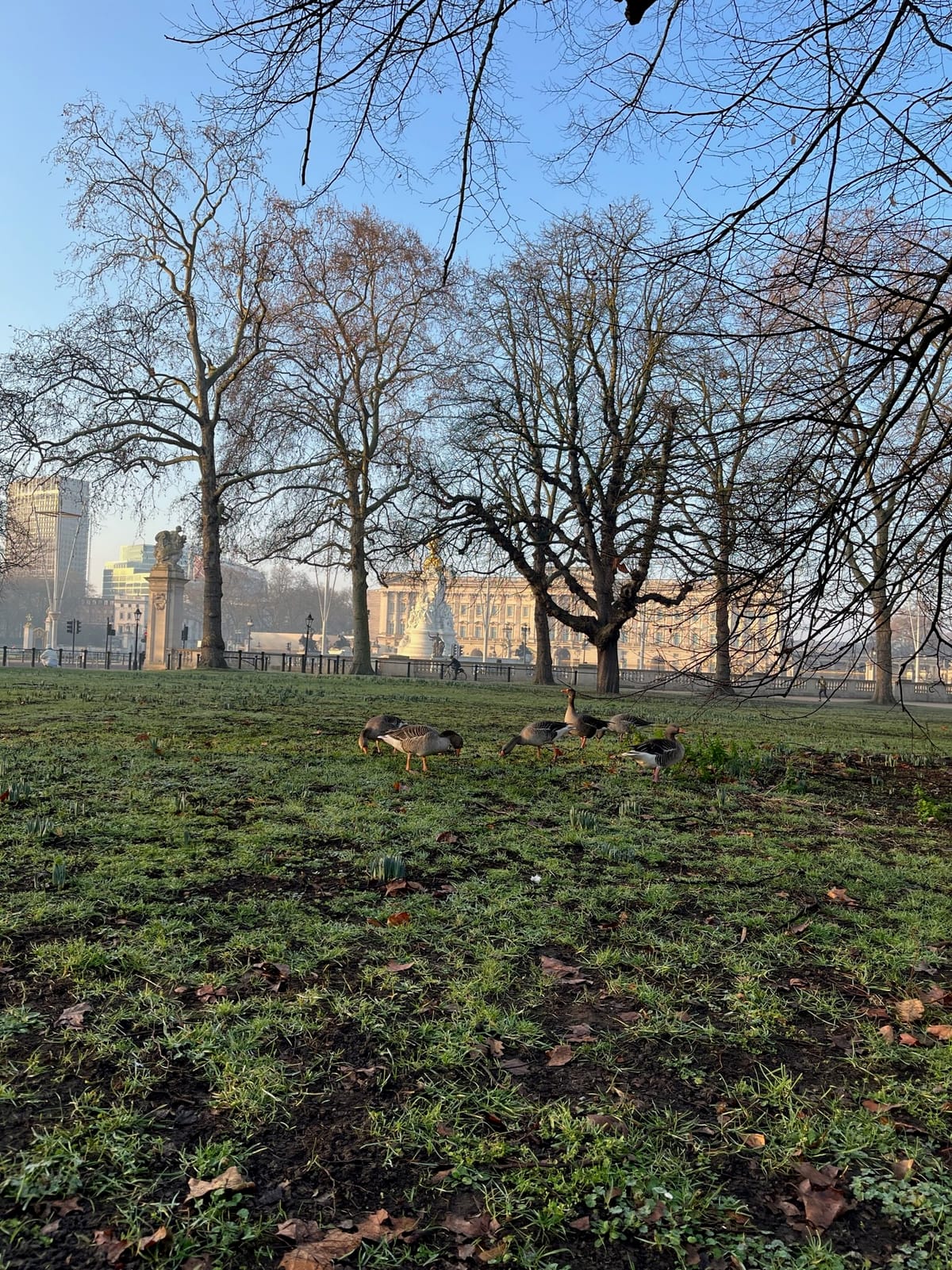 London