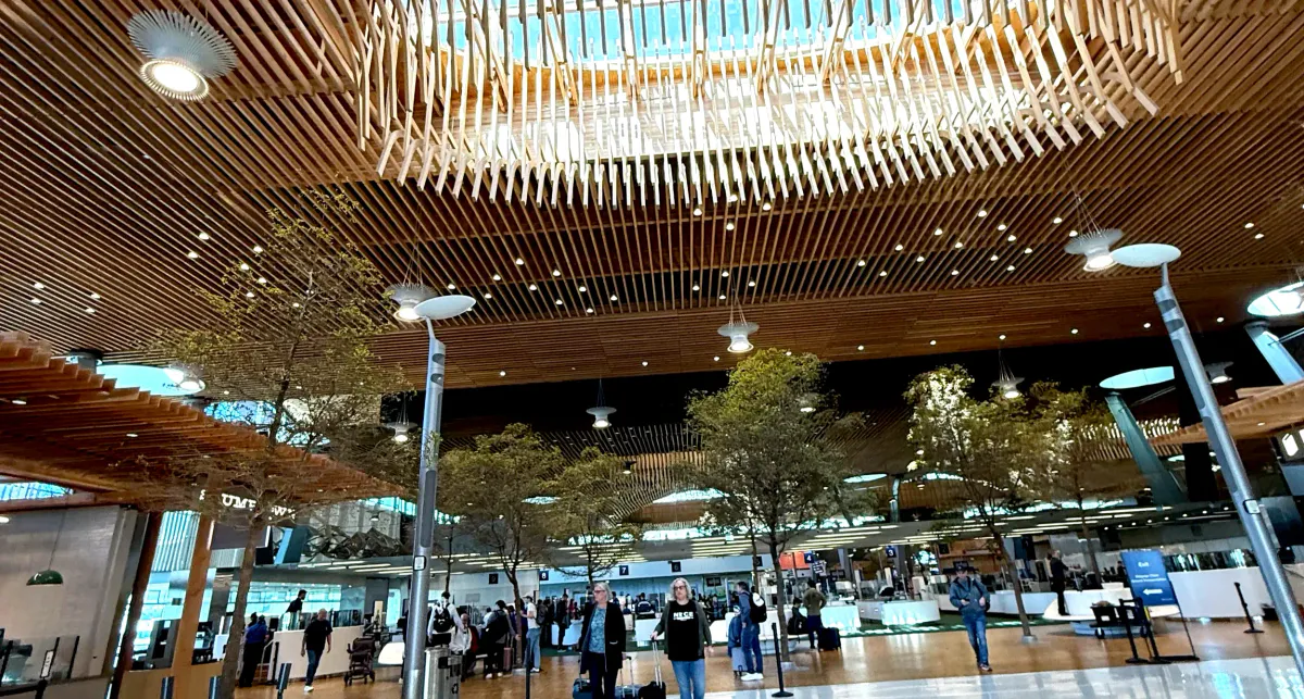 Portland airport terminal with a wooden slat ceiling and indoor trees