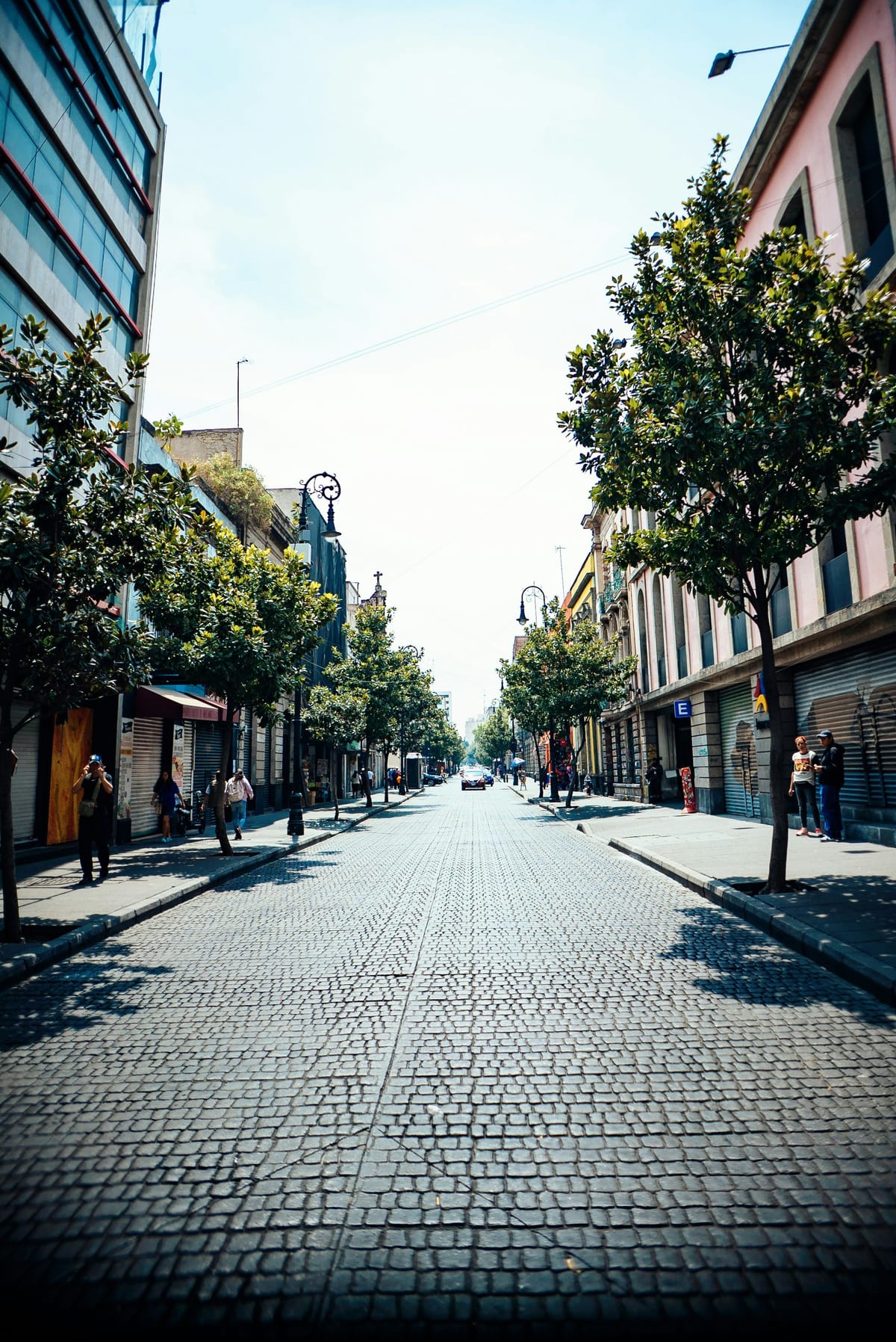 Long cobblestone street lined with trees, shops, and a few pedestrians