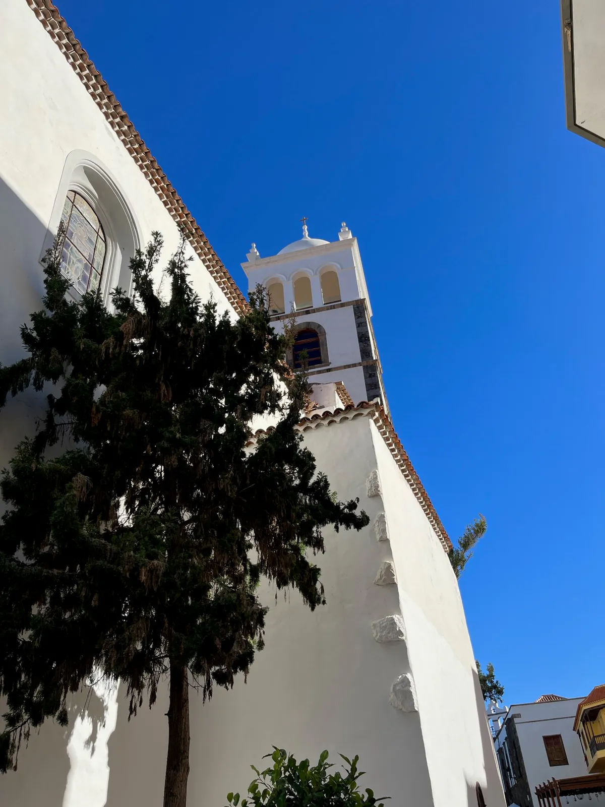 White church wall and bell tower seen from below, partly shaded by a tree.