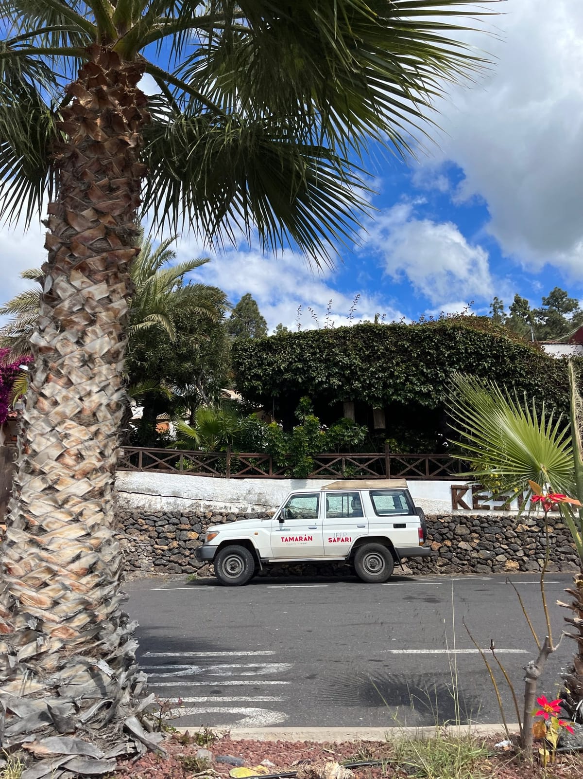 White Tamaran safari jeep parked by a stone wall under palm trees