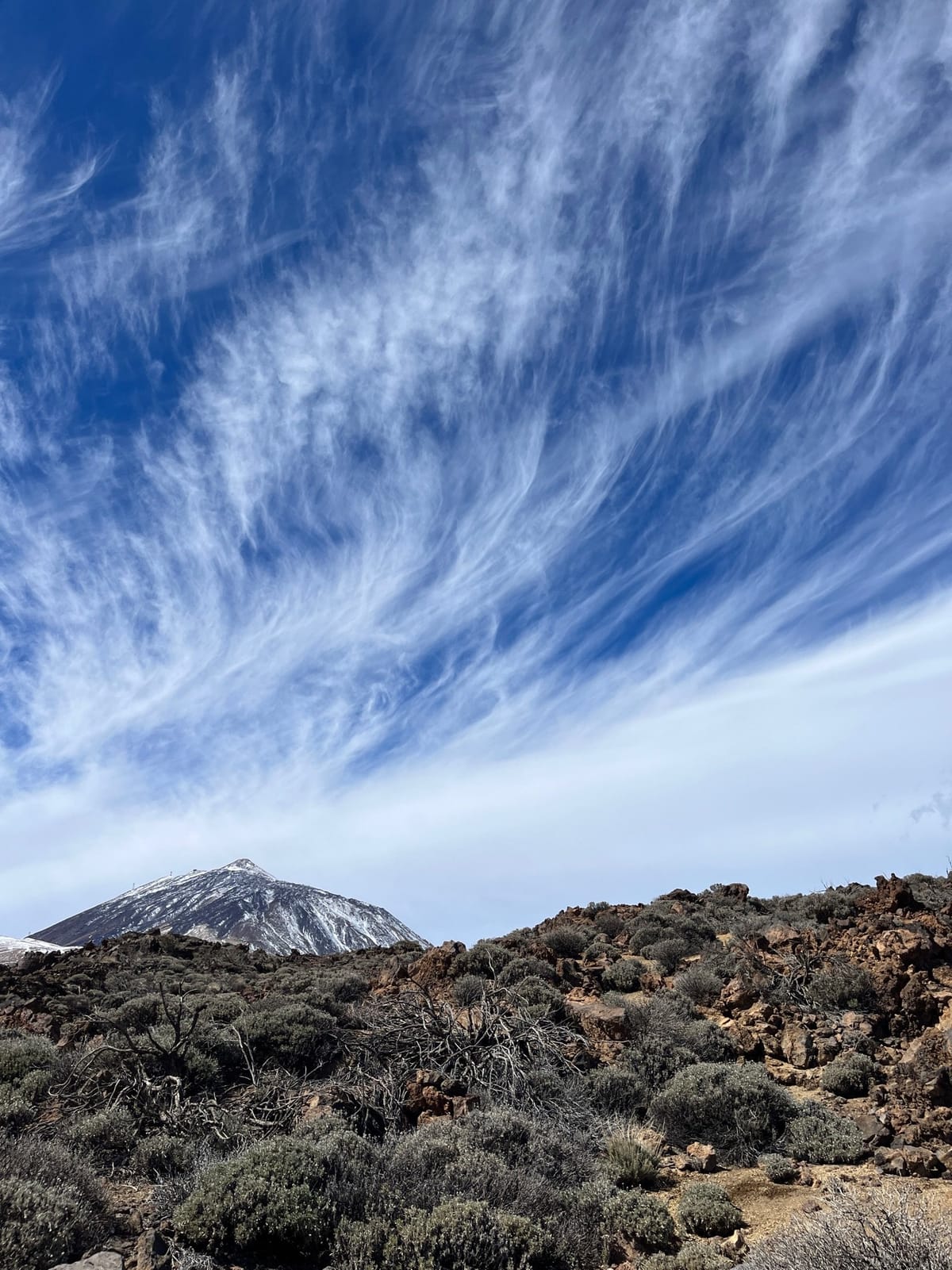 Snow-capped Teide above a shrub-covered slope under long streaky clouds