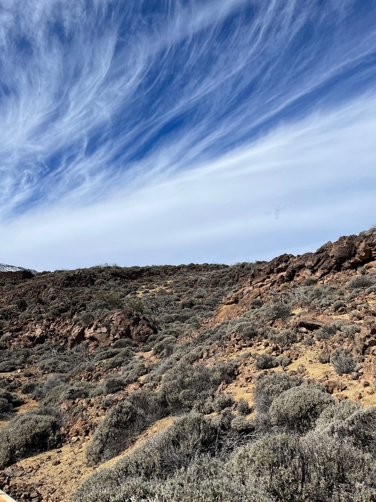 Shrub-covered rocky slope under streaky clouds, with a snowy peak at the edge