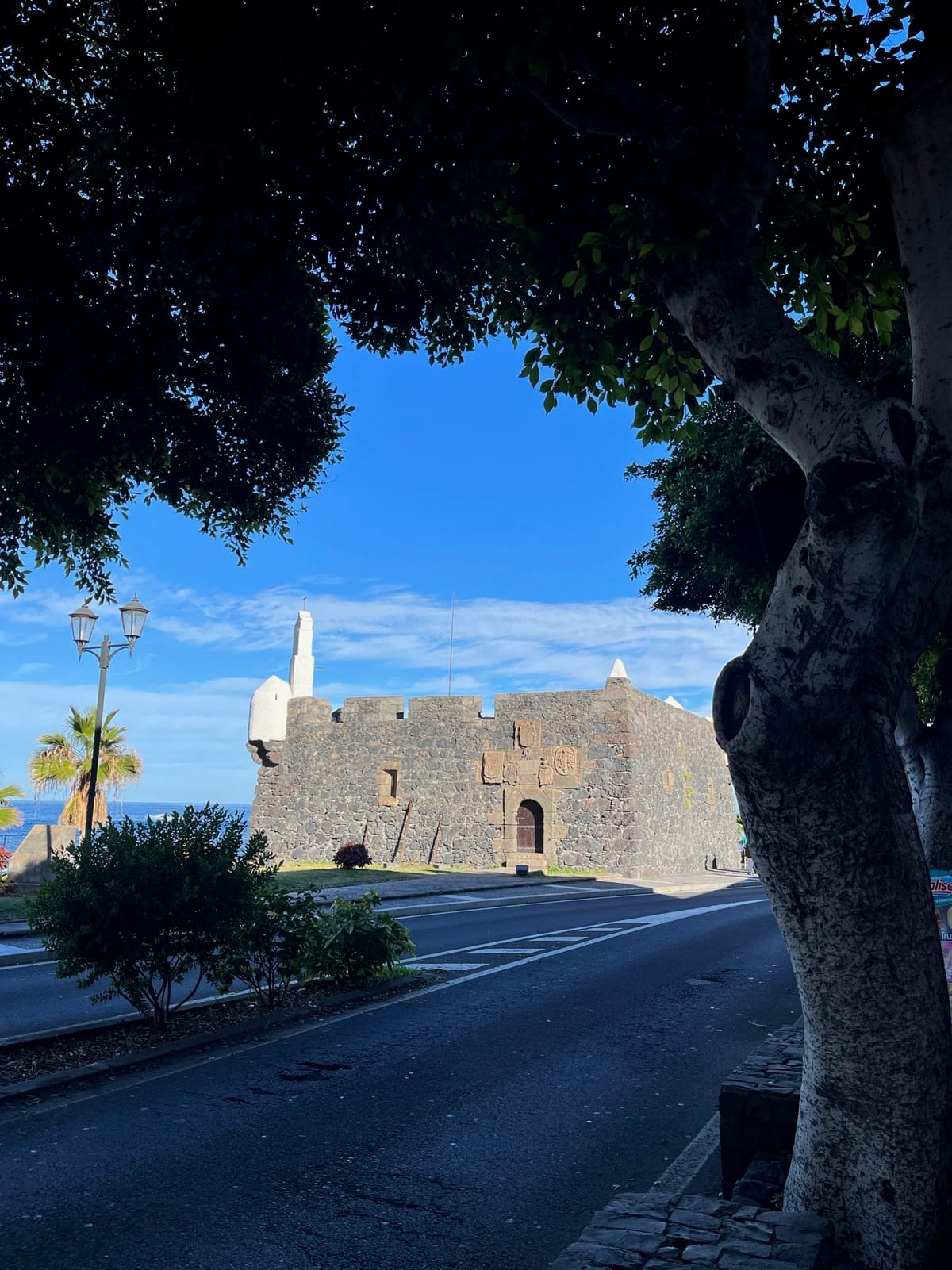 A dark stone fortress with white corner turrets, seen past a large tree.