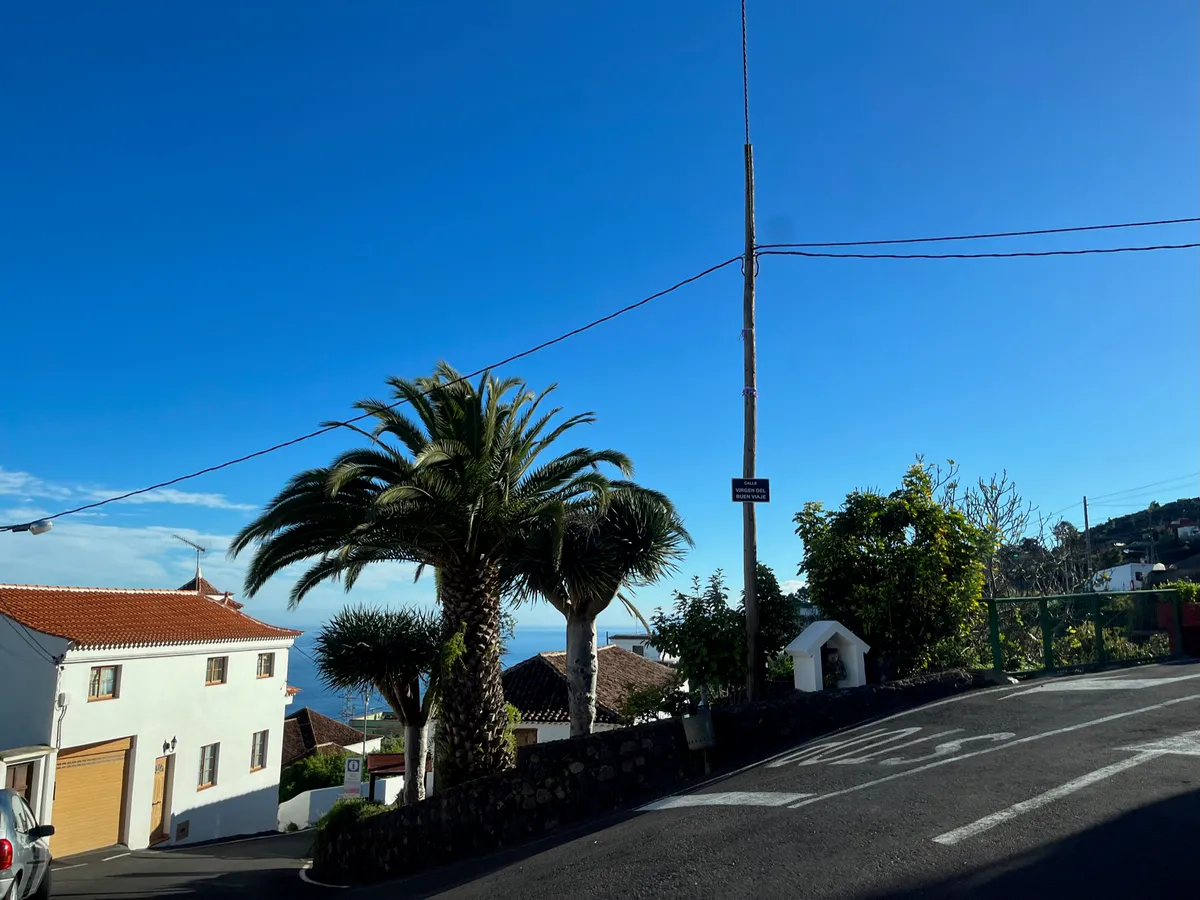 Palm trees, a white house, and a tiny roadside shrine above the sea.