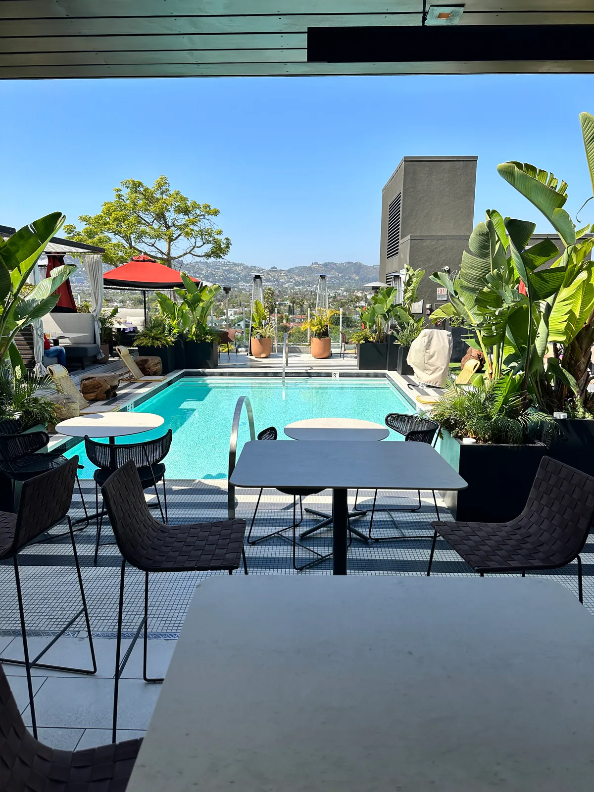 Rooftop pool surrounded by cafe tables, tropical plants, and distant hills