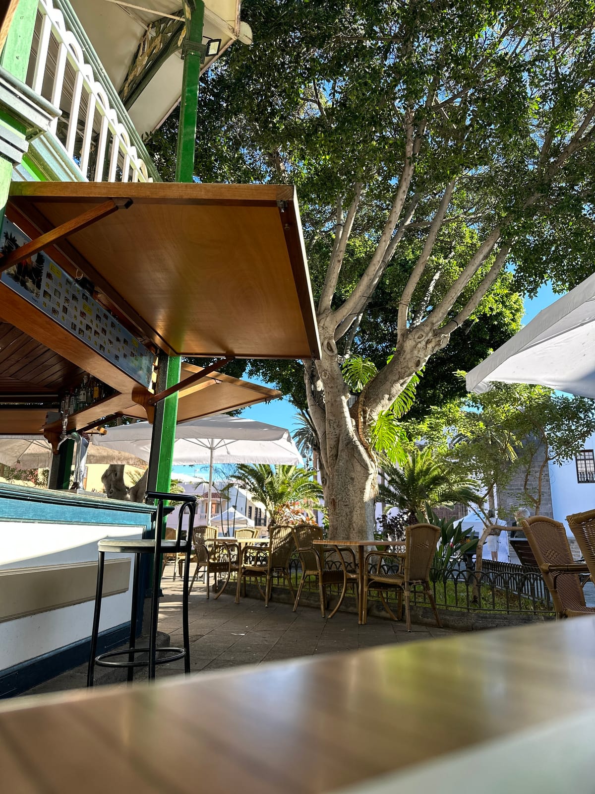 Outdoor cafe terrace with wicker chairs, a wooden bar, and a huge shade tree.