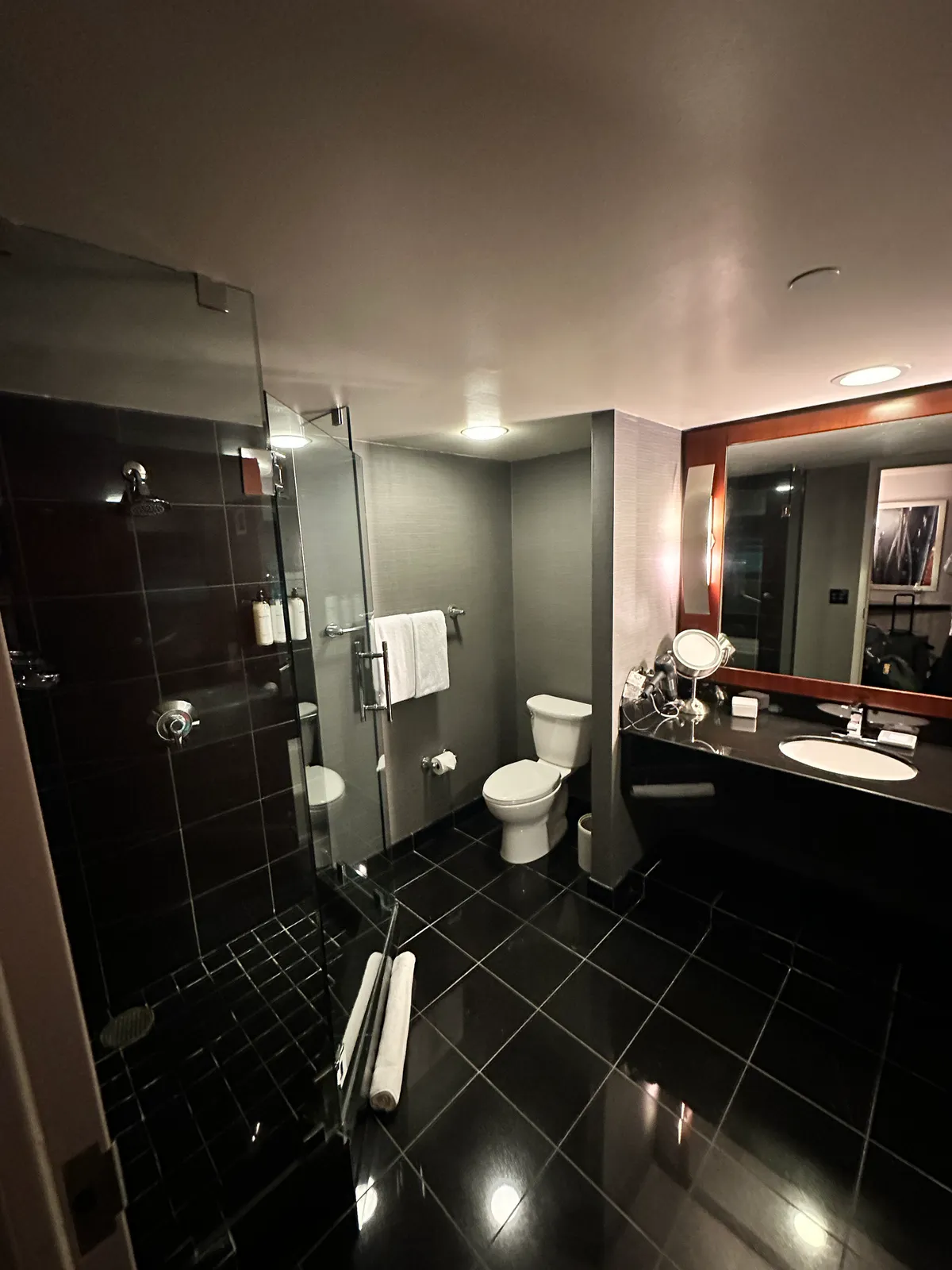 Grand Hyatt DFW bathroom with glass shower, toilet, and black vanity
