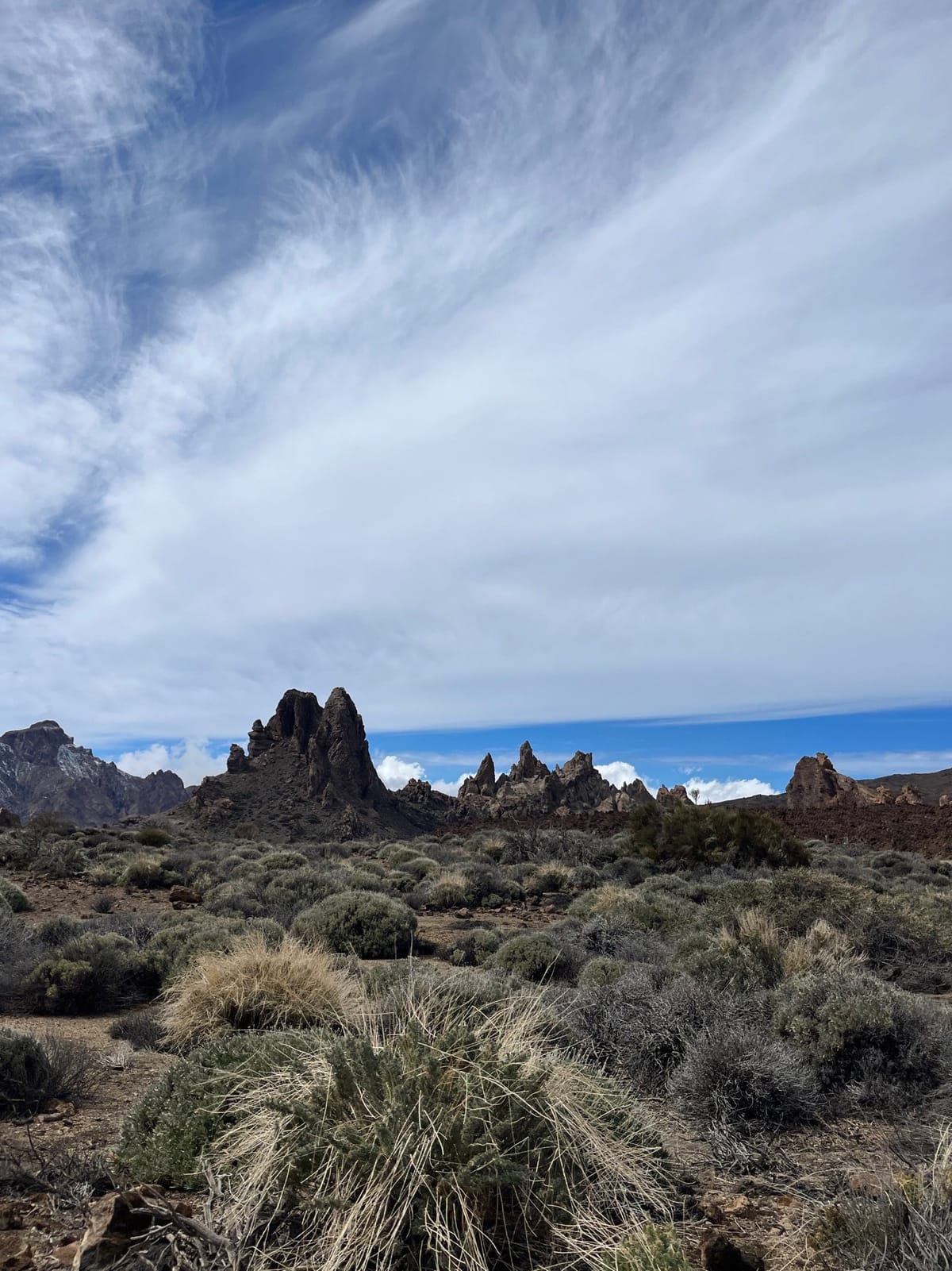Jagged rock spires rising from gray shrubs under a sky of streaky clouds