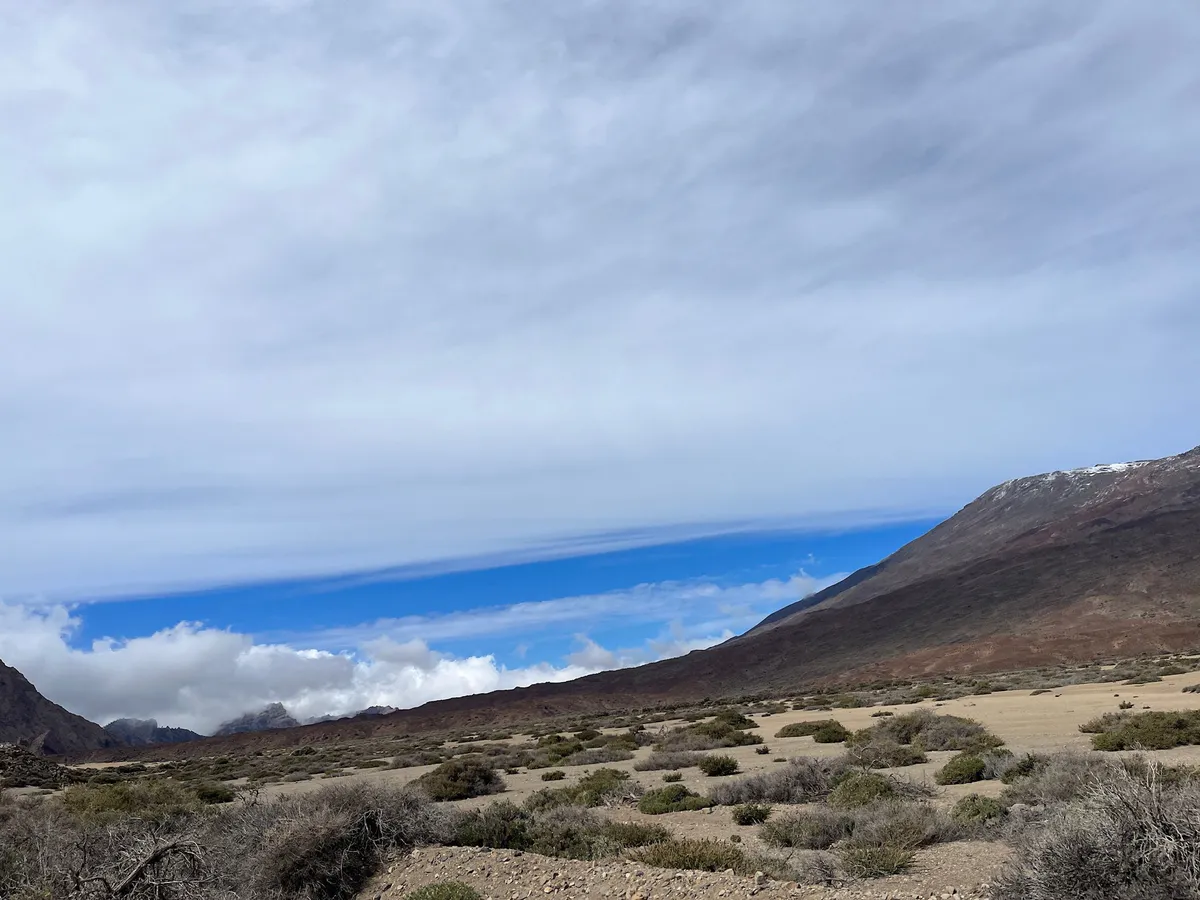 Open sandy plain of low shrubs below a dark mountain slope
