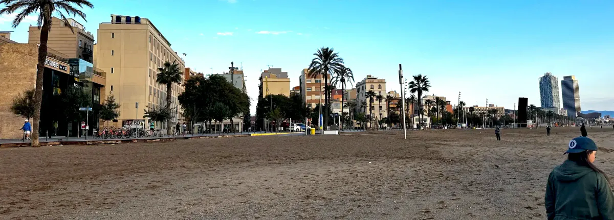 Wide sandy Barcelona beach lined with palms and city buildings