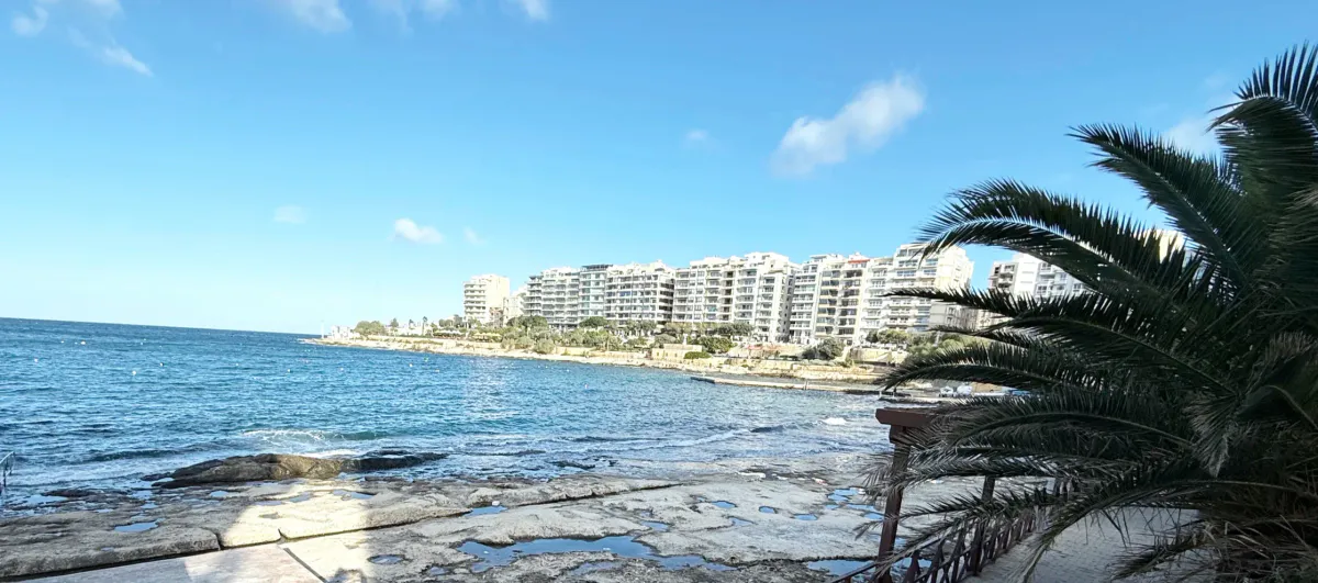 Palm fronds and a rocky shore facing a coastal city